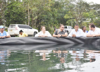 Chocó: piscicultura y Aguas de Paz, dos proyectos de excombatientes de las FARC
