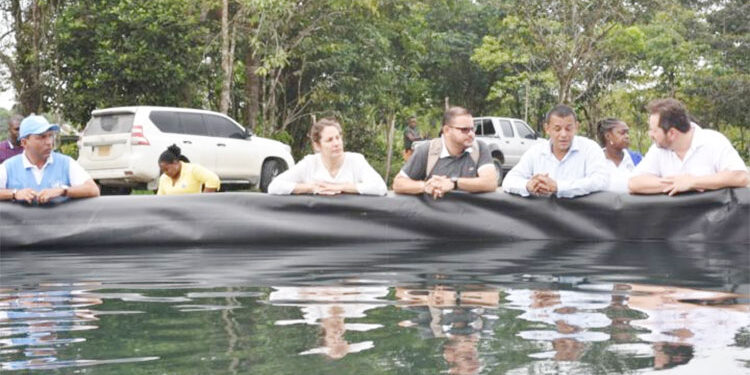 Chocó: piscicultura y Aguas de Paz, dos proyectos de excombatientes de las FARC
