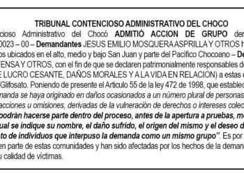 Tribunal Administrativo del Chocó admite acción de grupo