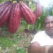 Aníbal Martínez, cultivador de aguacate criollo, coco y cacao en Istmina.