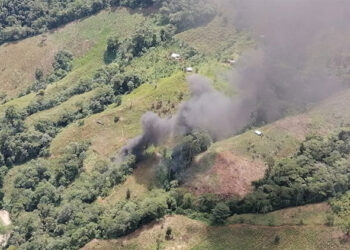 Destruyen 8 laboratorios de coca en Sipí y S. J. del Palmar
