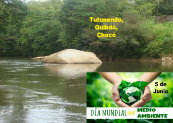 Junio 5: Día Mundial del Medio Ambiente