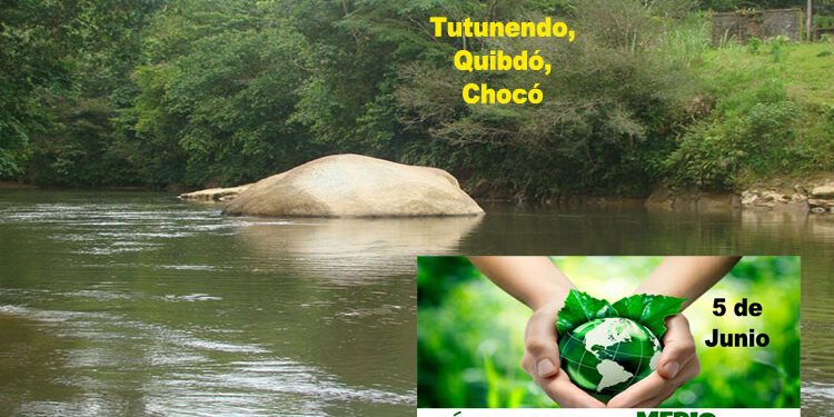 Junio 5: Día Mundial del Medio Ambiente
