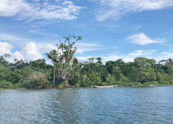 Proyecto de turismo comunitario en Tribugá, Nuquí