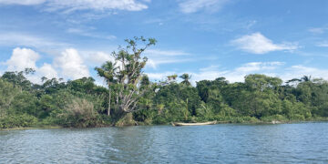 Proyecto de turismo comunitario en Tribugá, Nuquí