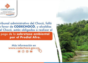 Alcaldías deben pagar a Codechocó la sobretasa ambiental por predial afro