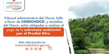 Alcaldías deben pagar a Codechocó la sobretasa ambiental por predial afro