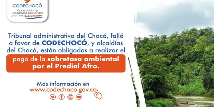 Alcaldías deben pagar a Codechocó la sobretasa ambiental por predial afro