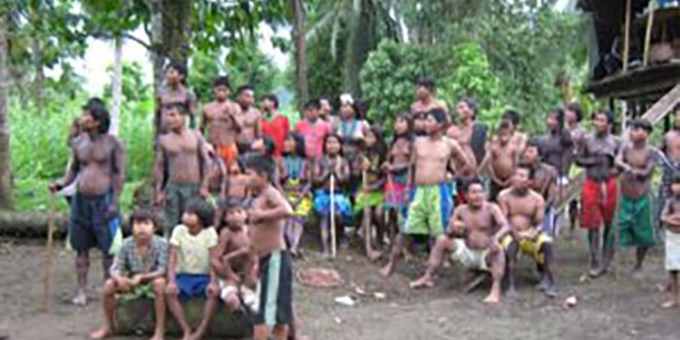 Bajo Baudó: confinados indígenas del río Docampadó