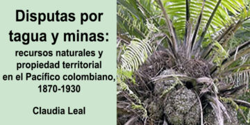 Disputas por tagua y minas: recursos naturales y propiedad territorial en el Pacífico colombiano, 1870-1930