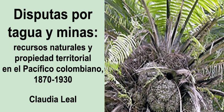 Disputas por tagua y minas: recursos naturales y propiedad territorial en el Pacífico colombiano, 1870-1930