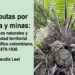 Disputas por tagua y minas: recursos naturales y propiedad territorial en el Pacífico colombiano, 1870-1930