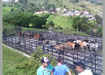 El ICA abrió oficina en El Carmen de Atrato