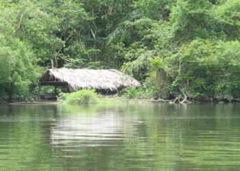 Bajo Baudó: $ 467 millones para destronque del río Docampadó