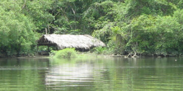 Bajo Baudó: $ 467 millones para destronque del río Docampadó