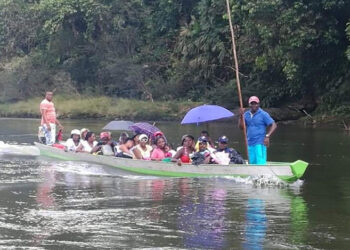 Ordenan la restitución de 73 mil hectáreas a familias afrodescendientes en el Chocó