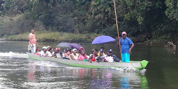 Ordenan la restitución de 73 mil hectáreas a familias afrodescendientes en el Chocó