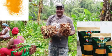 Harina de cúrcuma en Bojayá