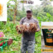 Harina de cúrcuma en Bojayá