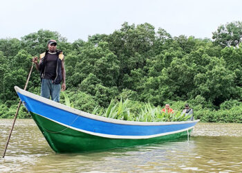 Lancha e insumos agrícolas en Bajo Baudó.