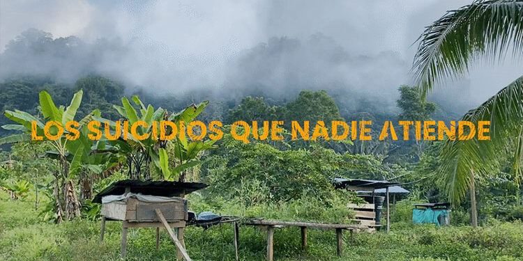 Los suicidios que nadie atiende