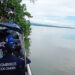 Limpieza en la ciénaga Los Manatíes