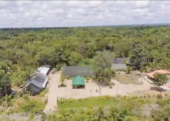 ZAMIA, estación biológica y agroambiental  donde crece la vida