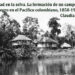 Libertad en la selva. La formación de un campesinado negro en el Pacífico colombiano, 1850-1930