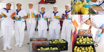 Carmen de Atrato: microempresa de pulpa de frutas recibe registro Invima