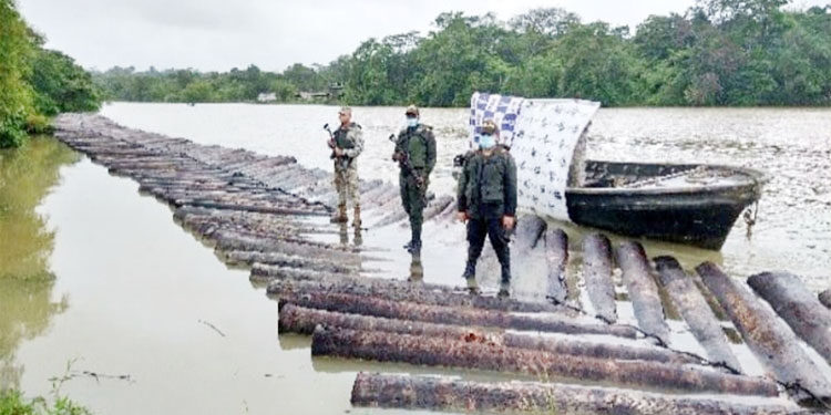 Incautan 340 trozos de madera en Litoral de San Juan