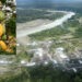 Sipí: $ 1.748 millones para 150 hectáreas de cacao