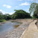 Unguía: cultura, protección de puente en el río Cutí y mejora de vía