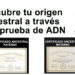 Descubre tu origen ancestral africano a través de la prueba de ADN.     ORANAF.ORG