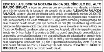 Edicto Alejandra Palacios Palacios