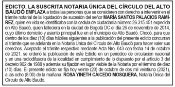 Edicto María Santos Palacios Ramírez