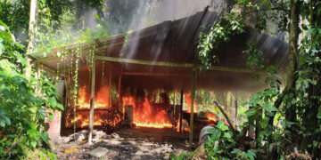 Destruyen 19 laboratorios de coca en Carmen de Darién