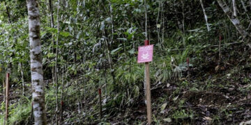 Medio San Juan: indígena herido en campo minado