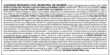Avalúo y remate de bienes embargados