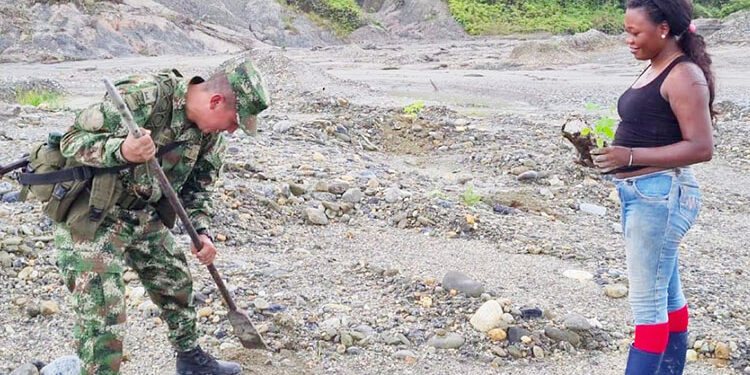 Gran sembratón en el Chocó