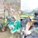 Sanan y liberan a un venado herido