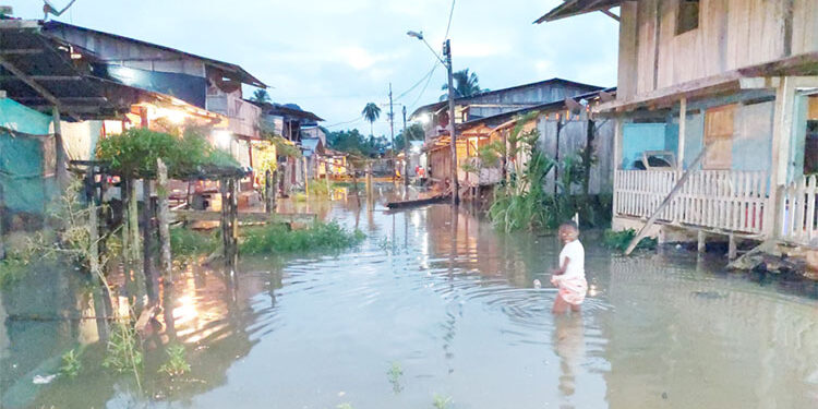 Más de 7.000 damnificados por inundaciones en el Baudó y en Nuquí