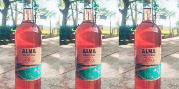 Acandí: vino de flor de Jamaica