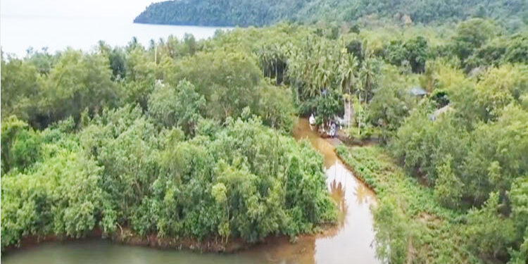 Premian el Proyecto Delfines Cupica REDD+ por su impacto socioambiental en Bahía Solano y Juradó