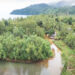 Premian el Proyecto Delfines Cupica REDD+ por su impacto socioambiental en Bahía Solano y Juradó