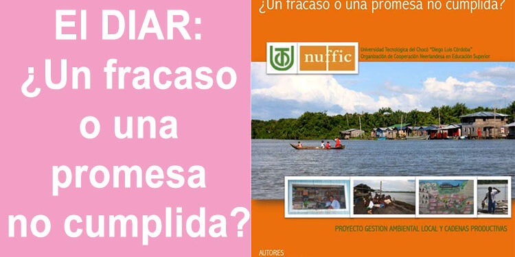 El DIAR: ¿Un fracaso o una promesa no cumplida?