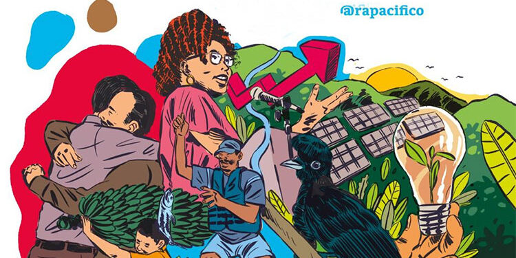 Manglar: la apuesta de política pública en el Pacífico