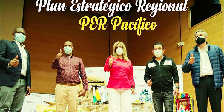 Aprobado el Plan Estratégico Regional, PER Pacífico