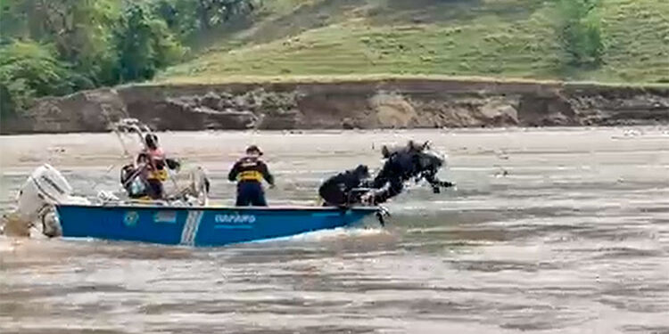 Señales de sensores sobre posible ubicación del carro que cayó al río Cauca