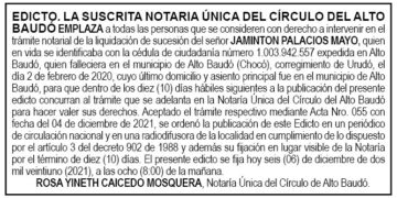 Edicto Jaminton Palacios Mayo