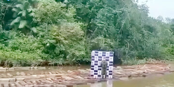 Incautan madera en Litoral de San Juan